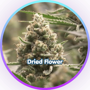 dried flower 
