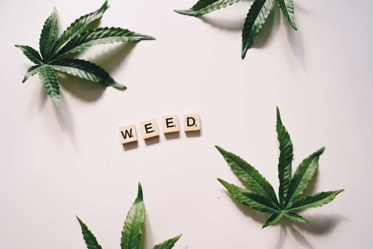Cannabis leaves arranged around letter tiles spelling 'WEED' on a clean white surface.